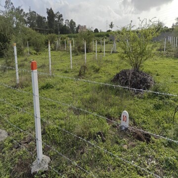 Plot Area in  Plot at Chandshi – for Sale