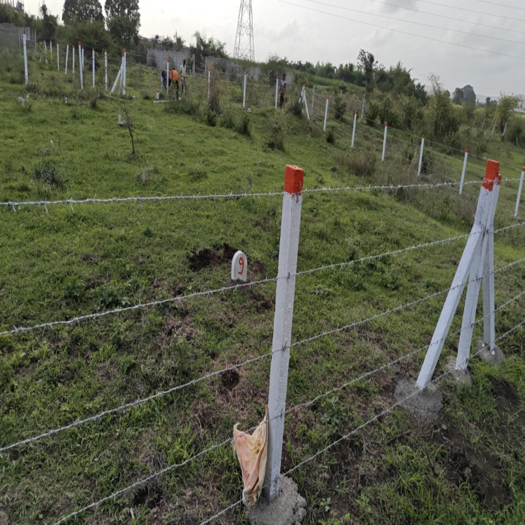 Plot For Sale in Banglo Plot Chandshi Gang