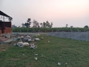 Plot For Resale in Herbertpur Dehradun  7875134