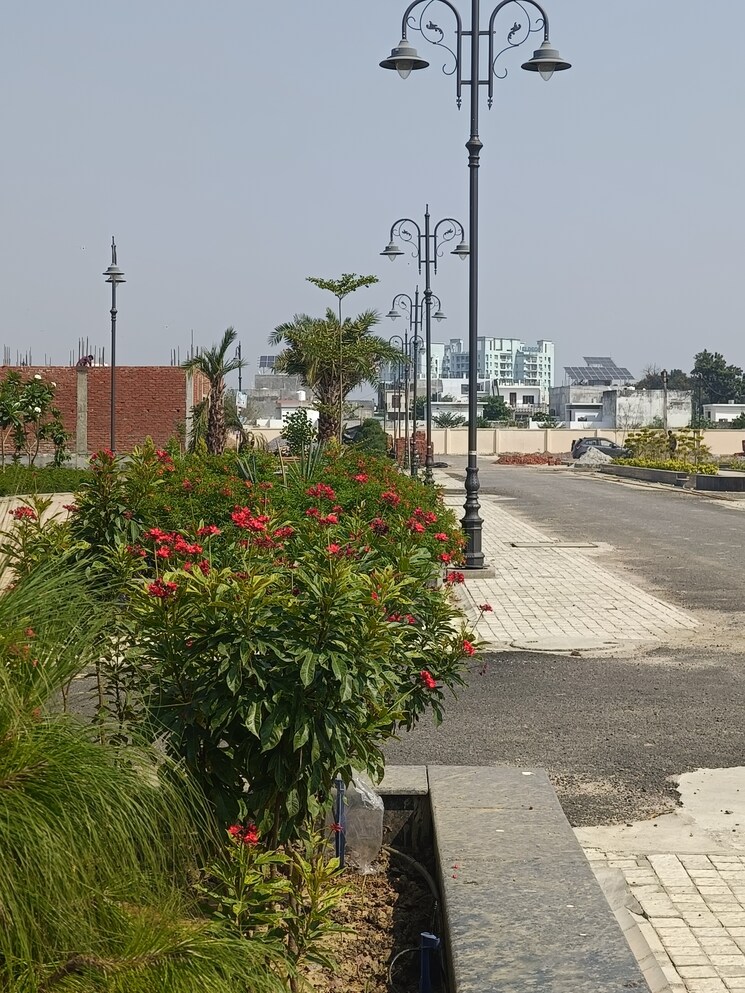 Exterior View, iim road  1000 Sq.Ft. Plot In Iim Road Lucknow 7875144