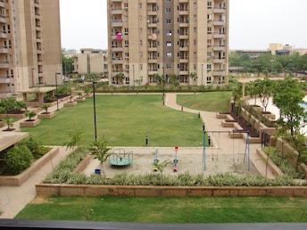 3 BHK Apartment For Rent in Orchid Petals Sector 49 Gurgaon  7875370