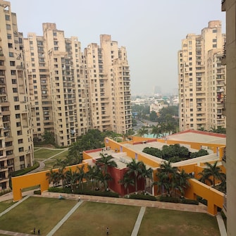 2 BHK Apartment For Rent in Unitech Fresco Sector 50 Gurgaon  7875477