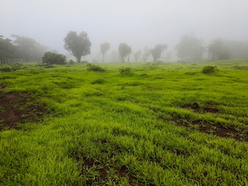 रेसिडेंशियल प्लॉट वर्ग फुट फॉर रीसेल इन मंगांव रायगढ़  7875516