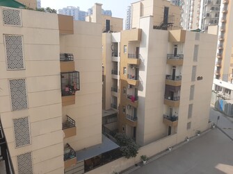 3 BHK Apartment For Resale in Amrapali Centurian Park Noida Ext Tech Zone 4 Greater Noida  7875681