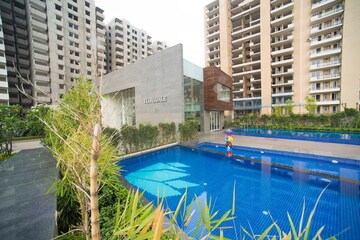 Swimming Pool in 3 BHK Apartment at Tulip Violet, Sector 69 – for Sale