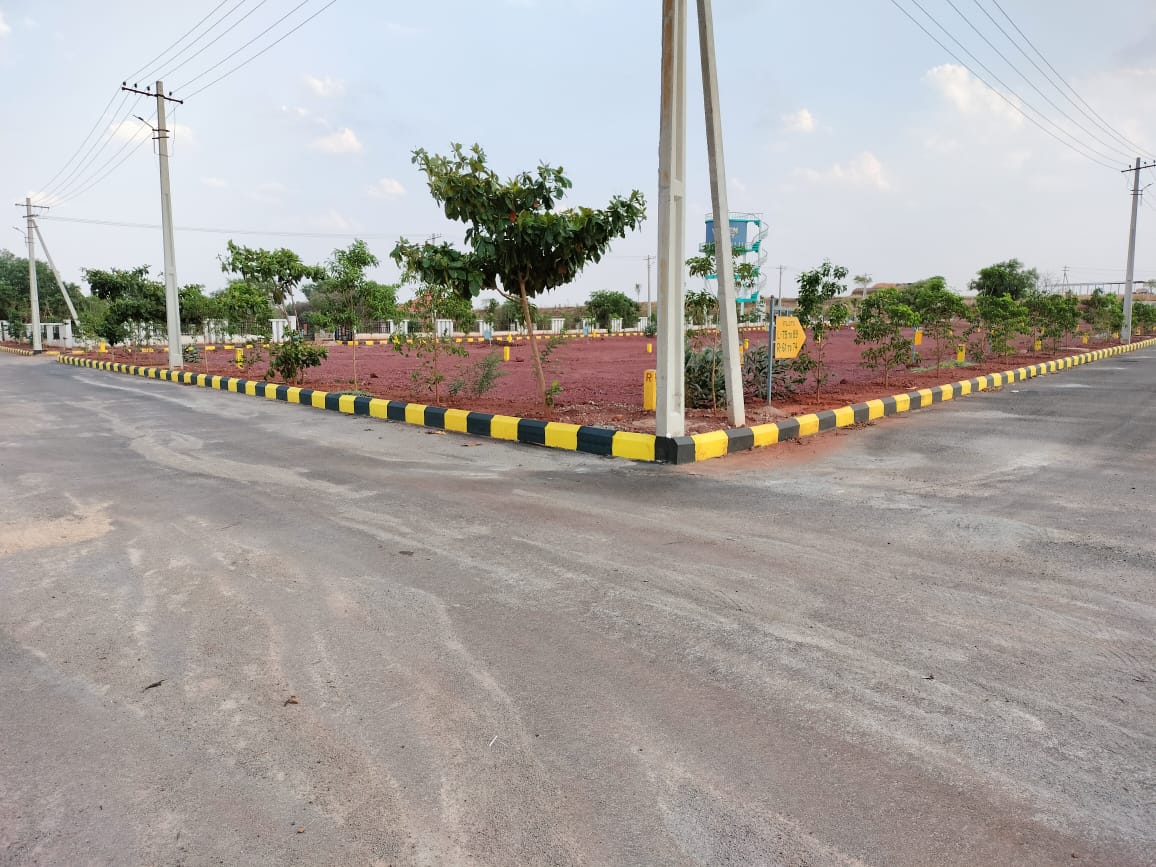 Plot For Resale in Sector 141 Noida  7876330