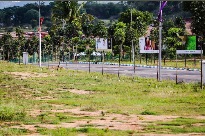 Plot For Resale in Sampangi Rama Nagar Bangalore  7876359