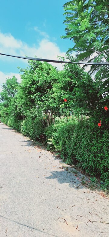 Plot Area in  Plot at Sector 16 – for Sale