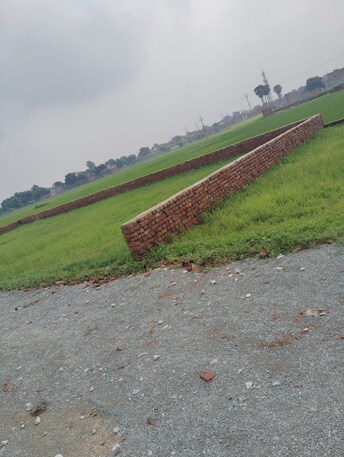 Plot For Resale in Rau Indore  7876819