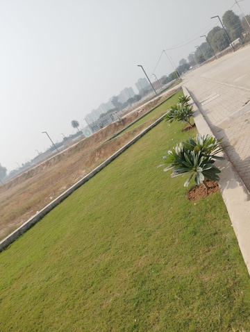 Plot For Resale in Spiti Palm Estate Farukh Nagar Sector 3 Gurgaon  7876937