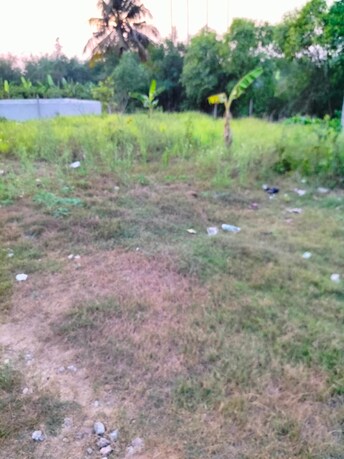 Plot For Resale in AmtalA-Baruipur Road Kolkata  7877038