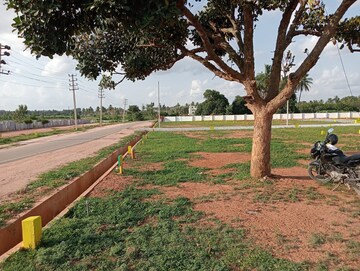  Plot – Garden View at Bagaluru  - for Sale