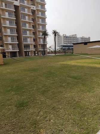 1 BHK Builder Floor For Rent in Breez Global Heights Sohna Sector 33 Gurgaon  7877069