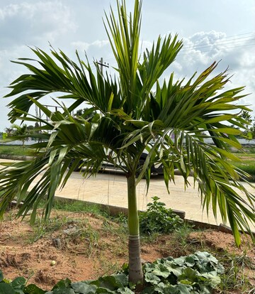  Plot – Exterior View View at Anjana Signature, Nandigama - for Sale