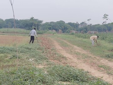 Plot Area in  Plot at Khorabar – for Sale