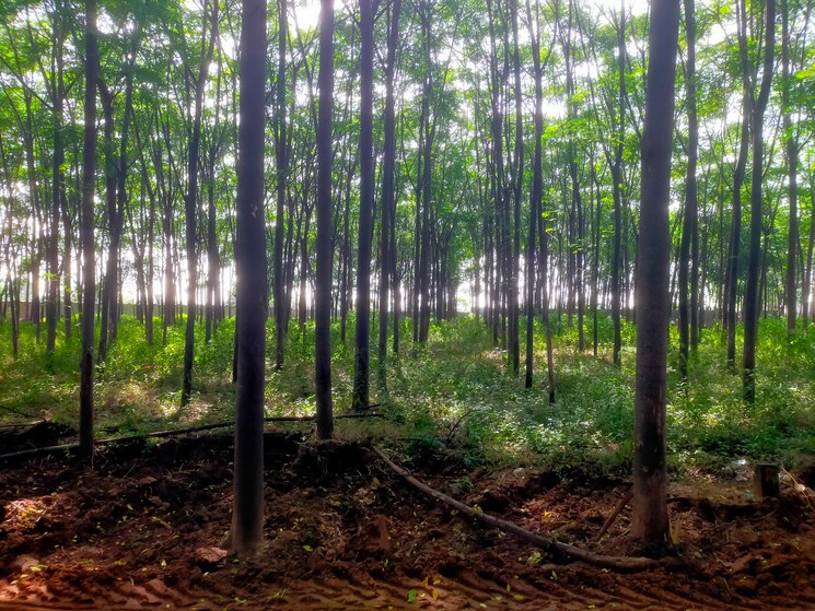 undefined, kolanpaka  121 Sq.Yd. Plot In Kolanpaka Hyderabad 7877947