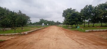 Plot Area in  Plot at Thimmapur – for Sale