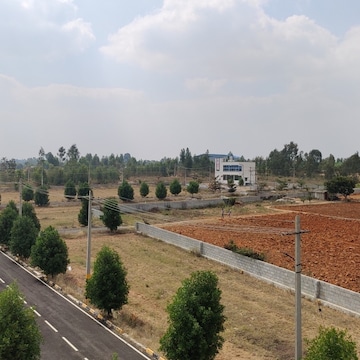  Plot For Sale in Narasapura