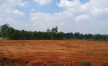 Plot For Resale in Devanagonthi Bangalore  7878428