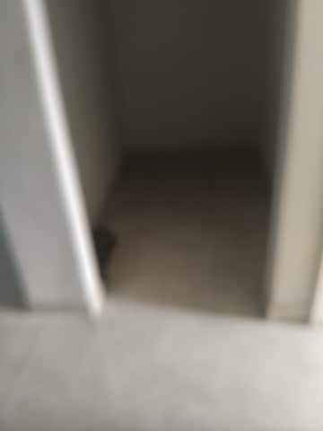 Furnished Amenities in 3 BHK Builder Floor at Signature Global City, Sector 37d – for Rent