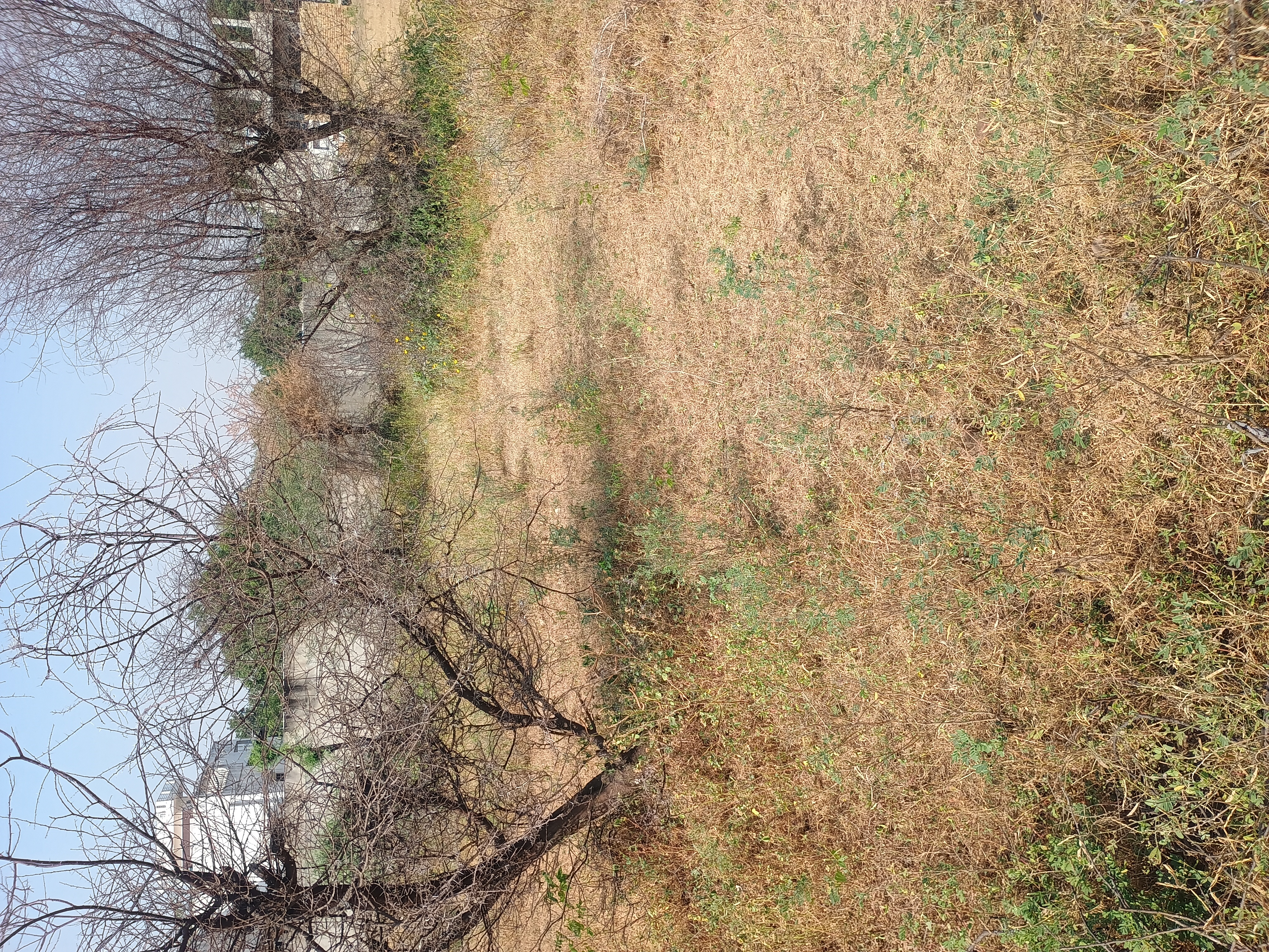 Plot For Sale in Gandhi Path Road Kanak vr