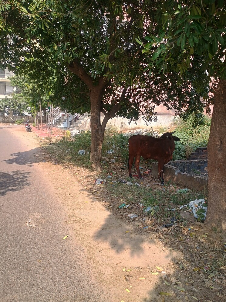 Exterior View, gandhi path  200 Sq.Yd. Plot In Gandhi Path Jaipur 7879175