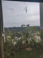 3 BHK + Pooja Room 1638 Sq.Ft. Builder Floor in SLV Flora