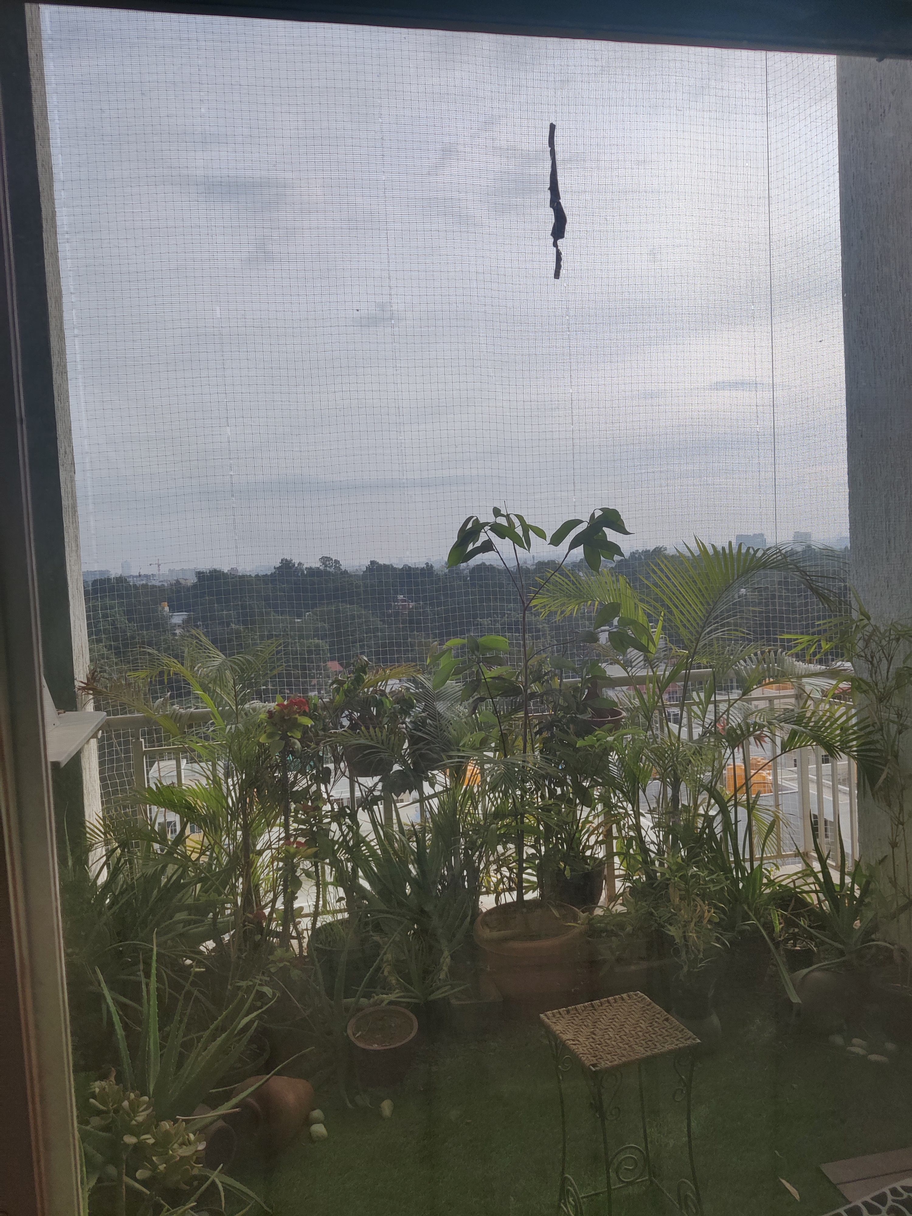 3 BHK + Pooja Room Builder Floor For Sale in SLV Flora