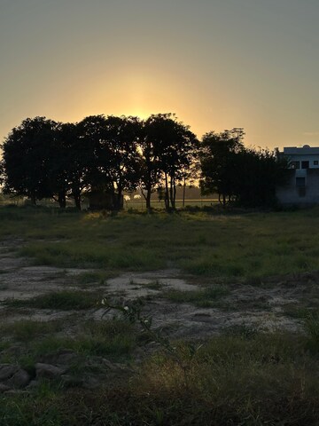 Plot Area in  Plot at Kharar Mohali Road – for Sale