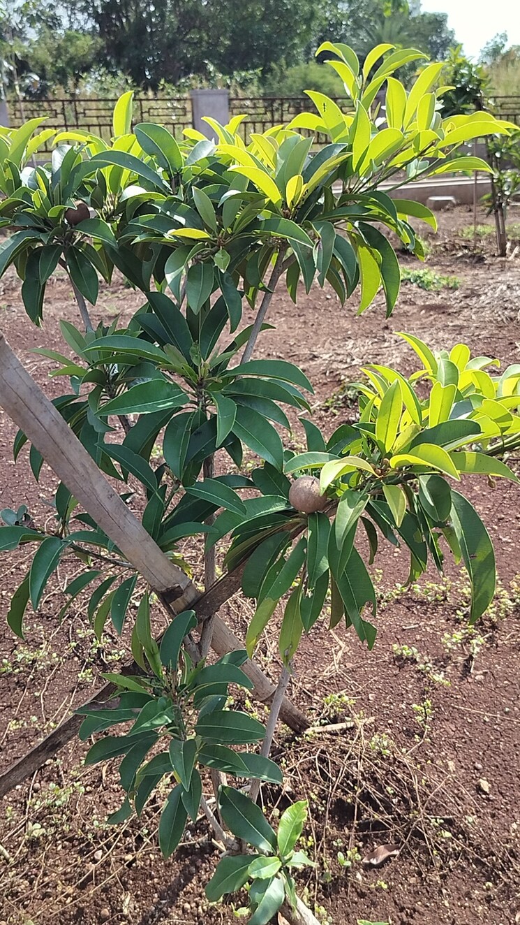 Exterior View, kamkole  201 Sq.Yd. Plot In Kamkole Hyderabad 7880194