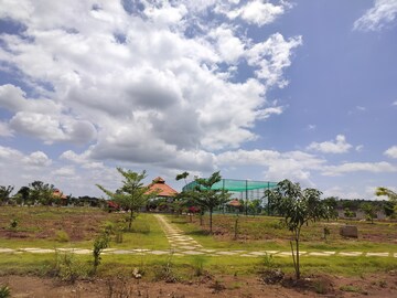 Plot Area in  Plot at Kamkole – for Sale