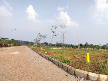 Plot Area in  Plot at Veltur – for Sale