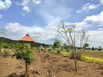 Plot Area in  Plot at Budhera – for Sale