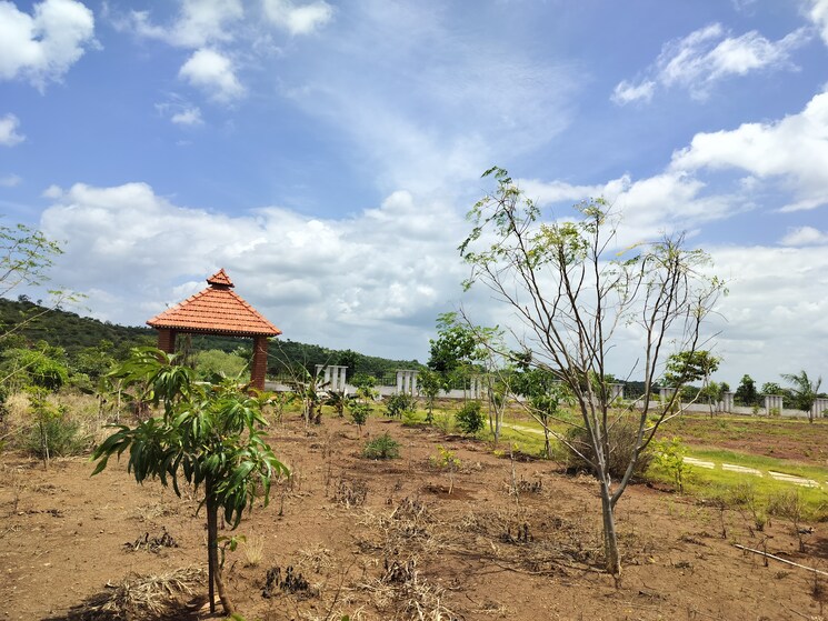 undefined, budhera  242 Sq.Yd. Plot In Budhera Hyderabad 7880228