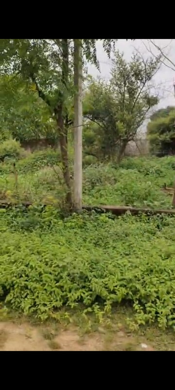  Plot – Garden View at R Square Gomti Nagar, Gomti Nagar - for Sale