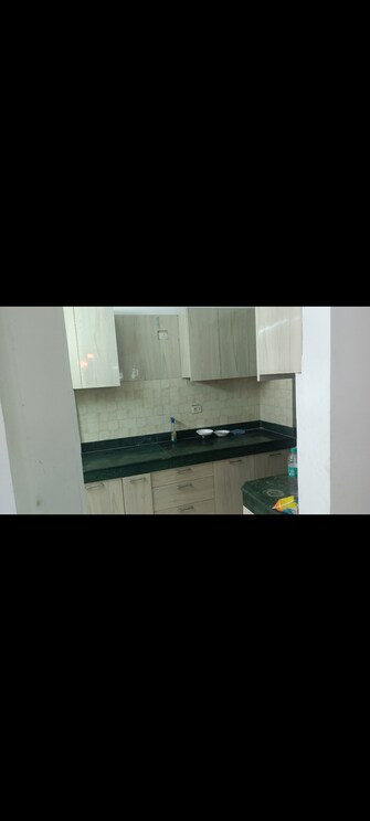 2 BHK Apartment For Rent in TDI City Kingsbury Kundli Sonipat  7881010