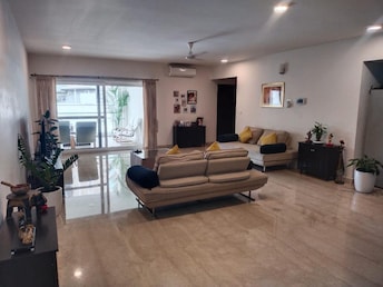 3 BHK Apartment For Rent in Richmond Premier Richmond Road Bangalore  7881078