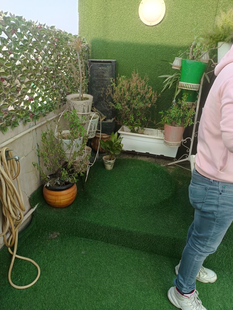 Garden, rohini sector 24 3 Bedroom 850 Sq.Ft. Builder Floor In Rohini Sector 24 Delhi 7881219