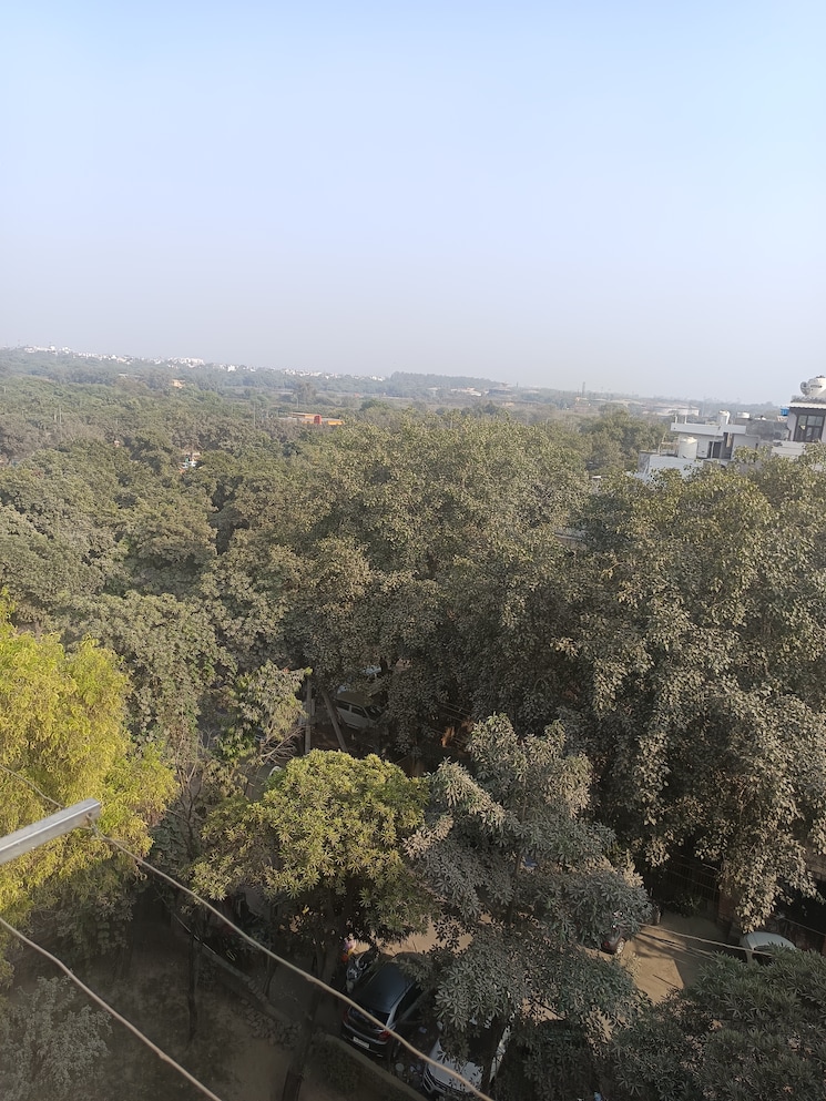 Master Bedroom, rohini sector 24 3 Bedroom 850 Sq.Ft. Builder Floor In Rohini Sector 24 Delhi 7881219