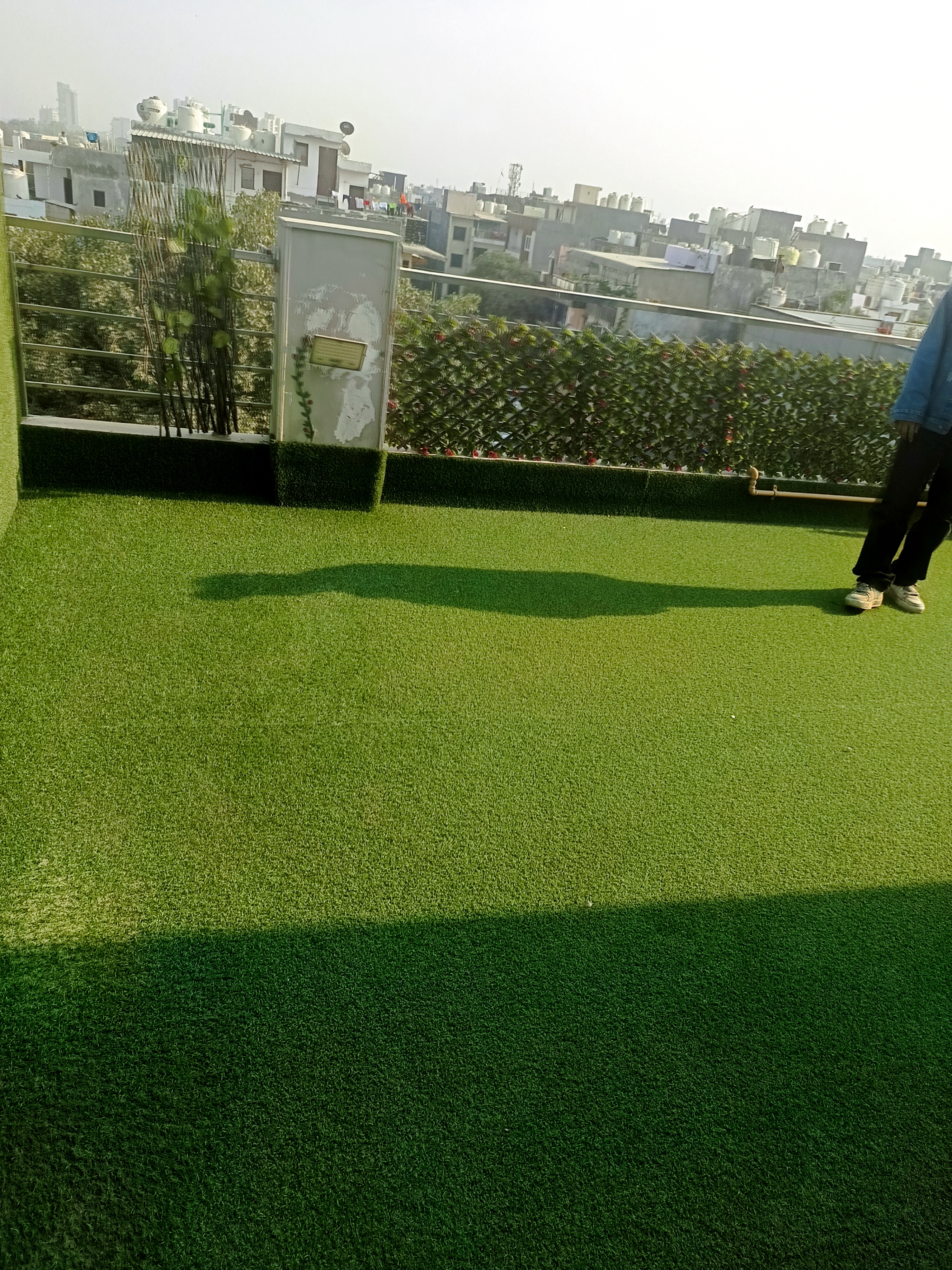 3 BHK + Pooja Room Builder Floor For Sale in Rohini SectoR-24