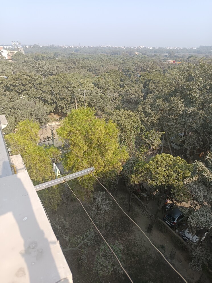 Garden, rohini sector 24 3 Bedroom 850 Sq.Ft. Builder Floor In Rohini Sector 24 Delhi 7881219