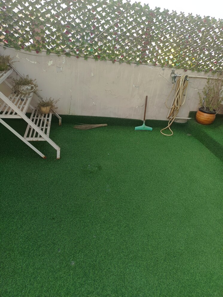 Swimming Pool, rohini sector 24 3 Bedroom 850 Sq.Ft. Builder Floor In Rohini Sector 24 Delhi 7881219