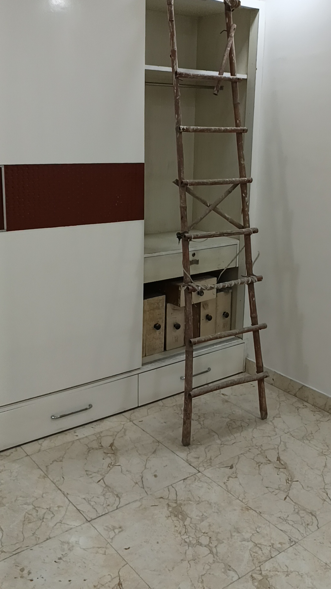 2 BHK + Pooja Room Builder Floor For Sale in Rohini SectoR-11