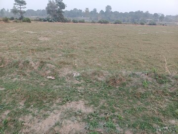 Plot Area in  Plot at Herbertpur – for Sale