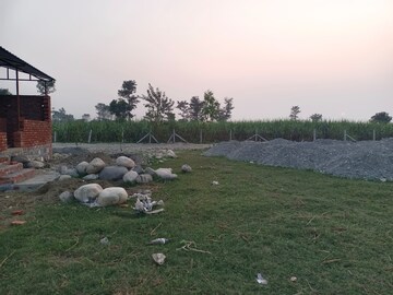 Plot – Garden View at Herbertpur - for Sale