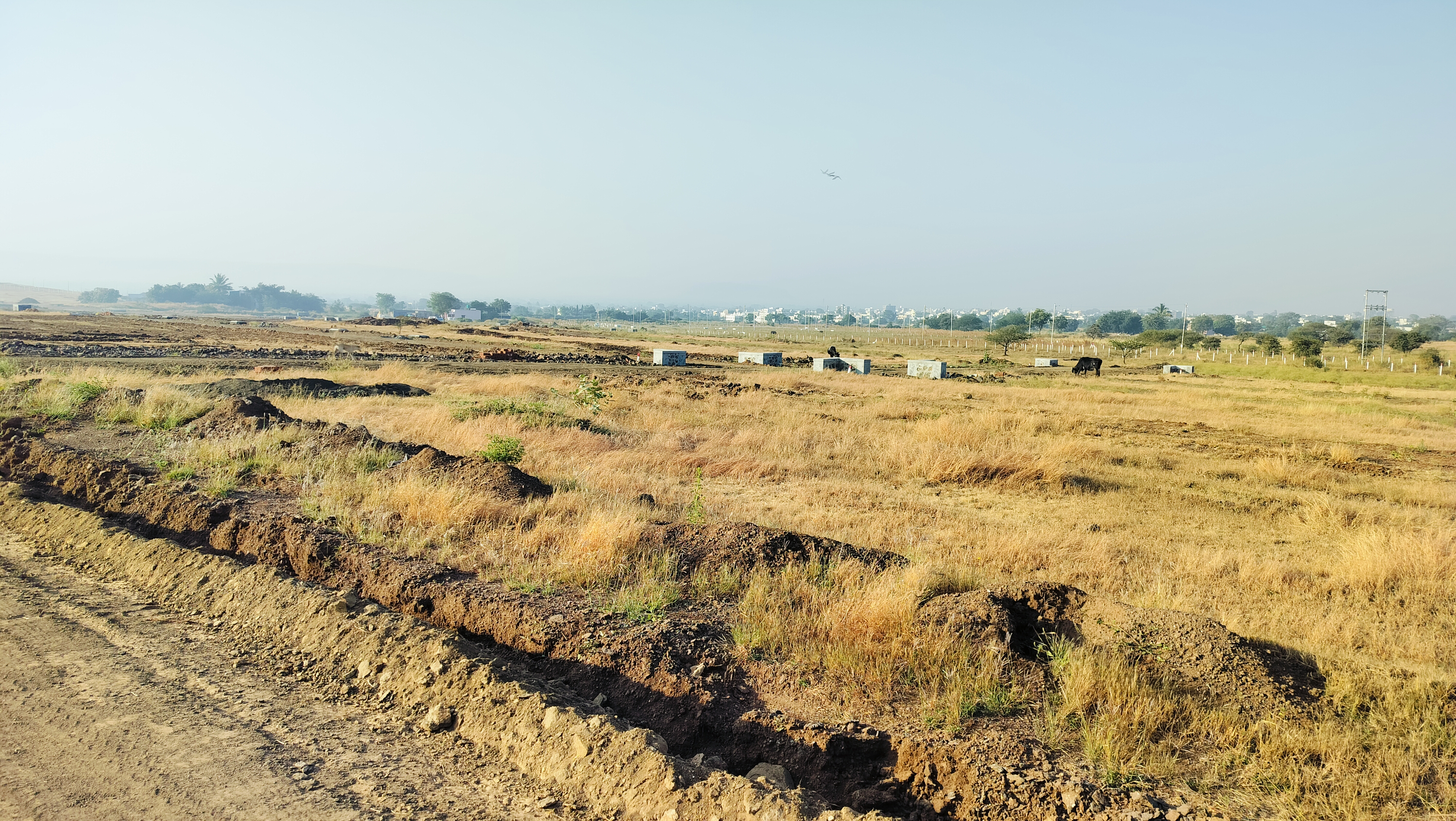 Plot For Resale in Sinnar Nashik  7881490