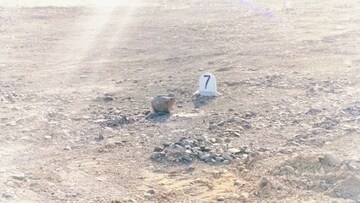 Plot Area in  Plot at Sinnar – for Sale