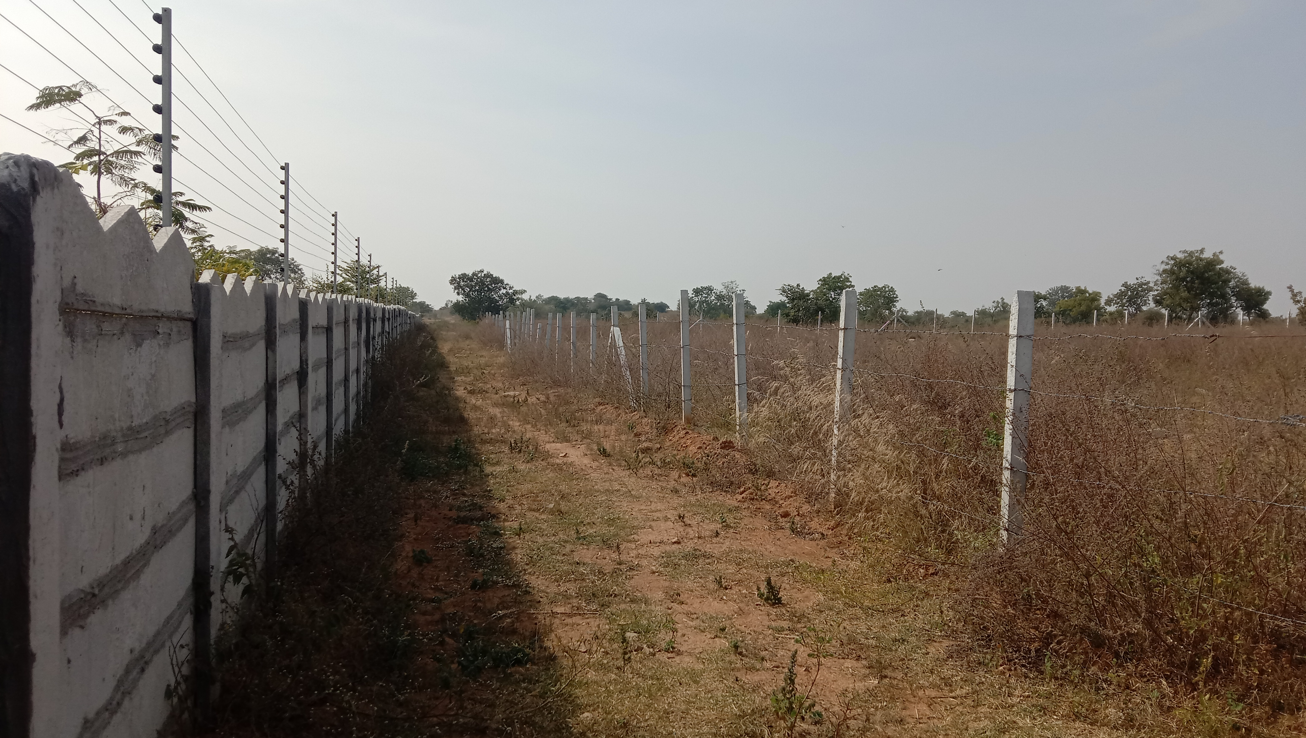 Commercial Land 1 Acre For Resale in Budwel Hyderabad  7881729