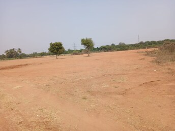 Plot For Resale in Shadnagar Hyderabad  7882155