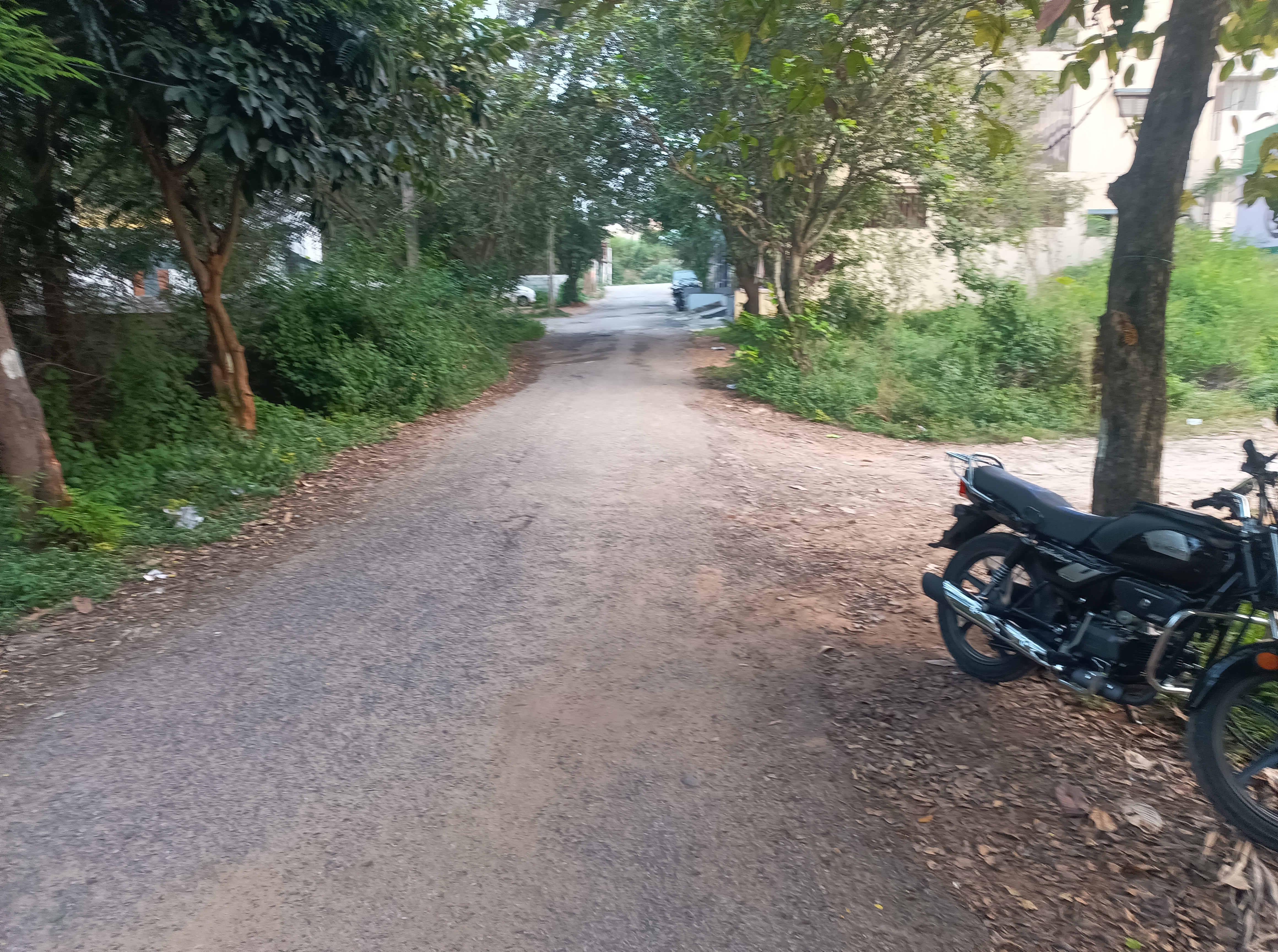 Plot For Sale in Plot 3334